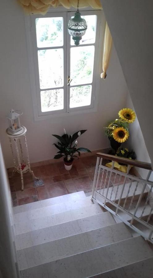 Bed and Breakfast Il Girasole ...At Andorus' House Erli Zewnętrze zdjęcie