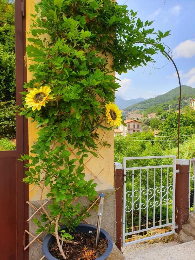 Bed and Breakfast Il Girasole ...At Andorus' House Erli Zewnętrze zdjęcie